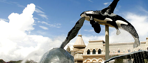 杭州品牌設(shè)計(jì) 只為給您打造&ldquo;昂貴&rdquo;的品牌